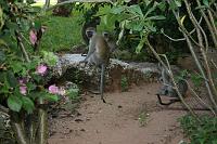 Kenya 109